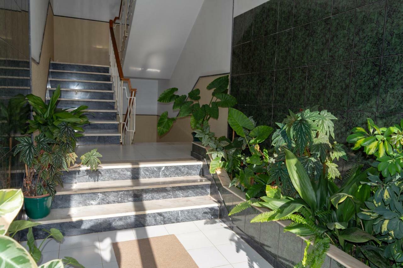 Appartement Flat In The Heart Of Algarve à São Brás de Alportel Extérieur photo